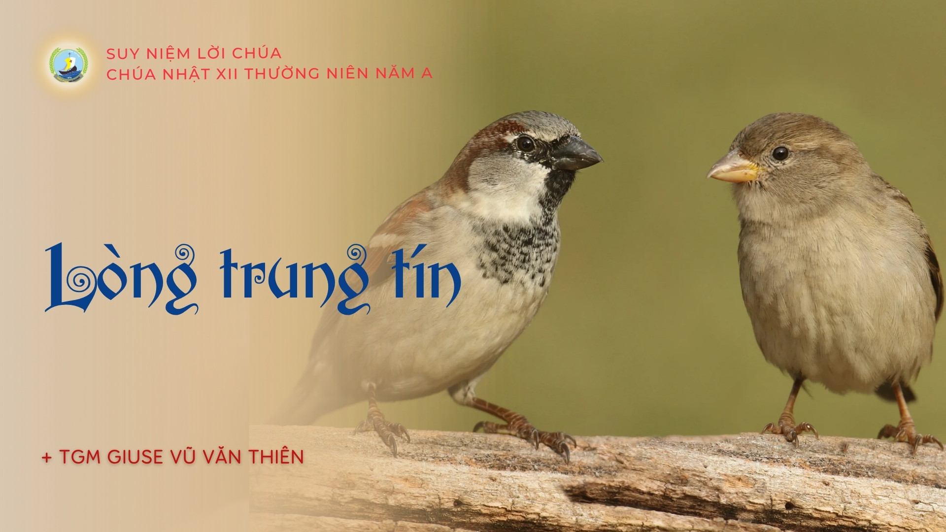 Suy niệm Lời Chúa | Chúa nhật XII Thường niên năm A | Lòng trung tín | TGM Giuse Vũ Văn Thiên